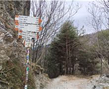 Passo Rocchetta - Silvana